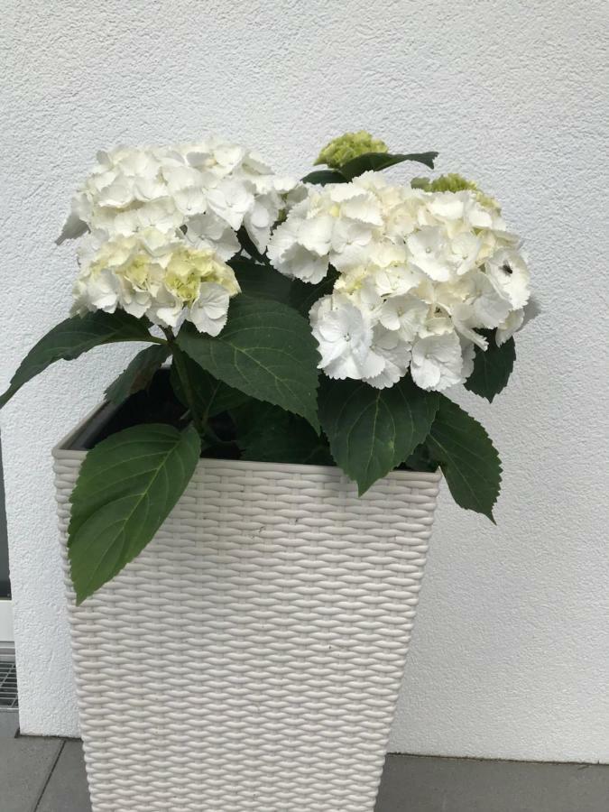 Appartement Quartier39 Sankt Johann in Tirol